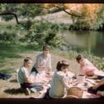 Family picnic