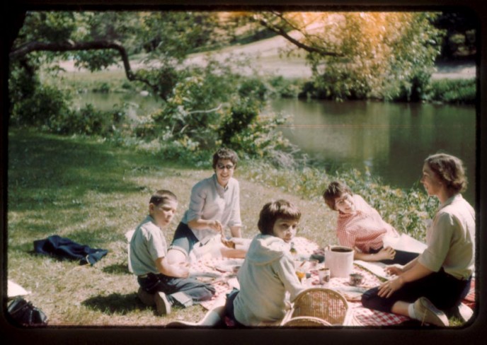 Family picnic