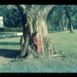 Mark and tree