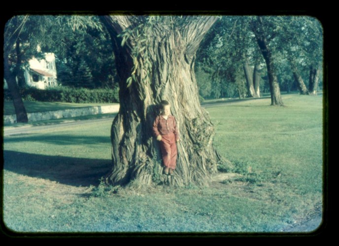 Mark and tree